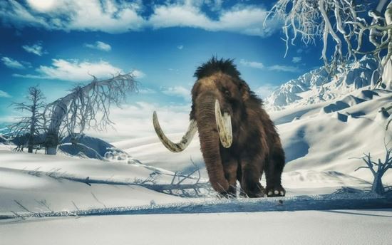 Tionscadal Aiséirí Mammoth Vítneam